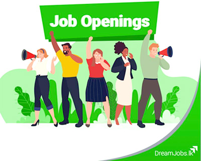 Job Openings Dreamjobs